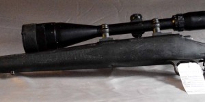 Remington 700  30.06  w/ Bushnell 6-18x50
